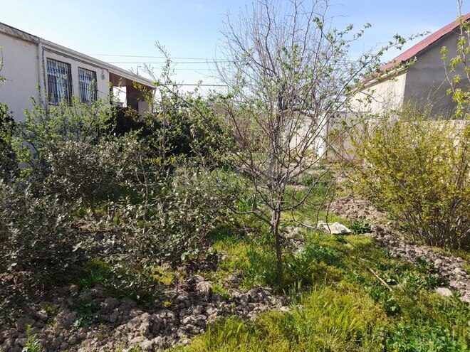 Satılır 3 otaqlı həyət evi/bağ evi 67 m², photo 3 from 14