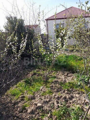 Satılır 3 otaqlı həyət evi/bağ evi 67 m², photo 4 from 14
