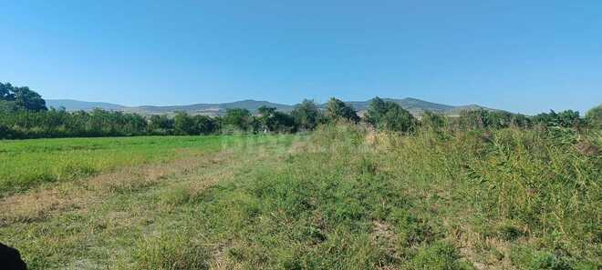 Satılır  torpaq 300 sot, photo 5 from 7