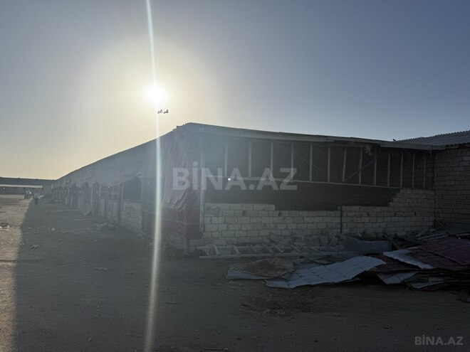 Satılır  obyekt 20 000 m², Zirə q., photo 8 from 21
