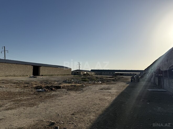 Satılır  obyekt 20 000 m², Zirə q., photo 9 from 21
