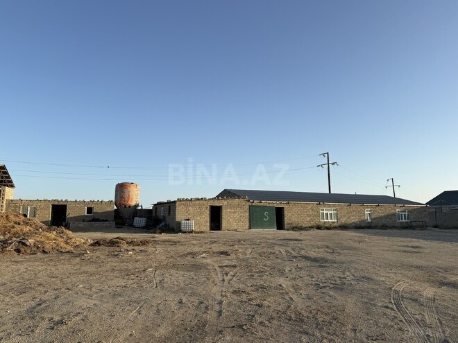Satılır  obyekt 20 000 m², Zirə q., photo 13 from 21