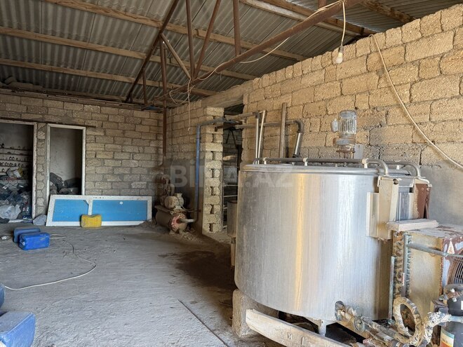 Satılır  obyekt 20 000 m², Zirə q., photo 19 from 21