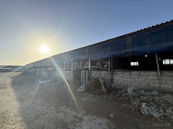 Satılır  obyekt 20 000 m², Zirə q., photo 10 from 21
