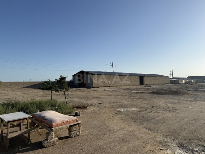 Satılır  obyekt 20 000 m², Zirə q., photo 7 from 21