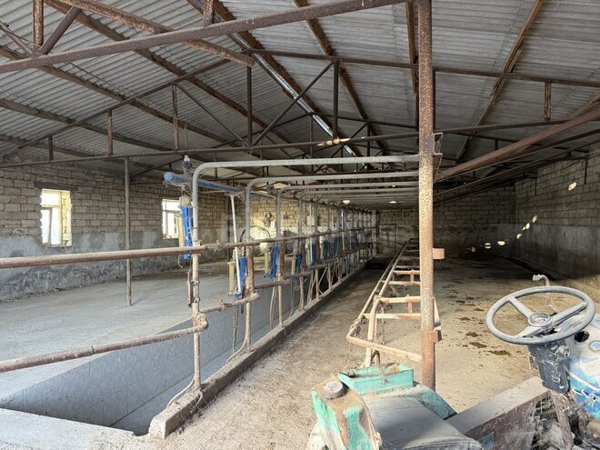 Satılır  obyekt 20 000 m², Zirə q., photo 15 from 21