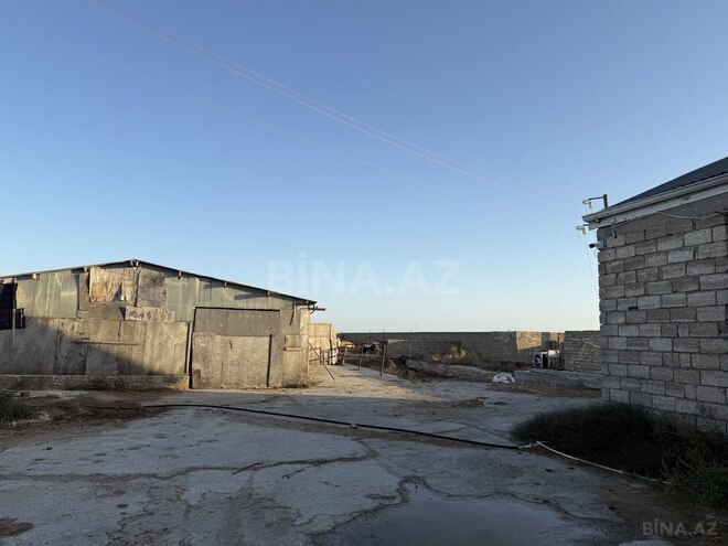 Satılır  obyekt 20 000 m², Zirə q., photo 14 from 21