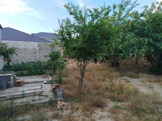 Продается  участок 4 сот, пос. Амирджаны, photo 6 from 10