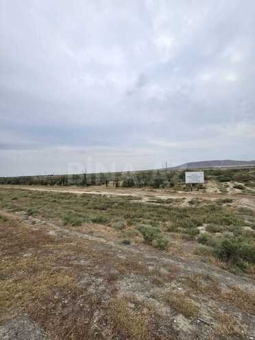 Satılır  torpaq 2 000 sot, Ələt q., photo 1 from 6