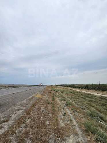 Satılır  torpaq 2 000 sot, Ələt q., photo 3 from 6