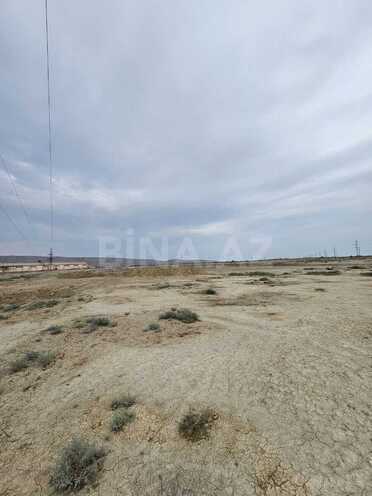 Satılır  torpaq 2 000 sot, Ələt q., photo 5 from 6