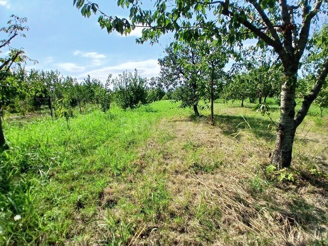 Satılır  torpaq 55 sot, photo 9 from 23