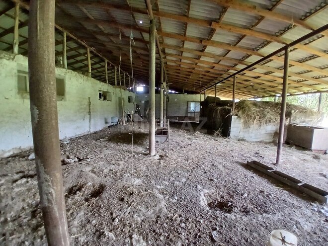 Satılır  torpaq 55 sot, photo 17 from 23