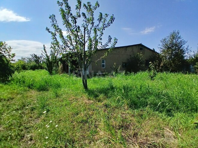 Satılır  torpaq 55 sot, photo 12 from 23