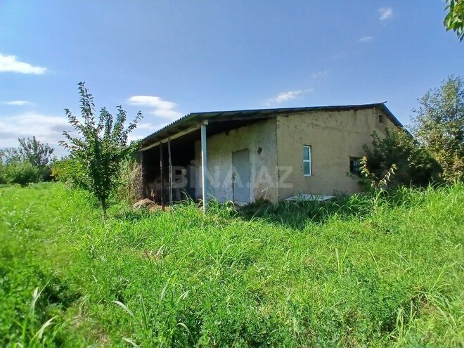 Satılır  torpaq 55 sot, photo 11 from 23