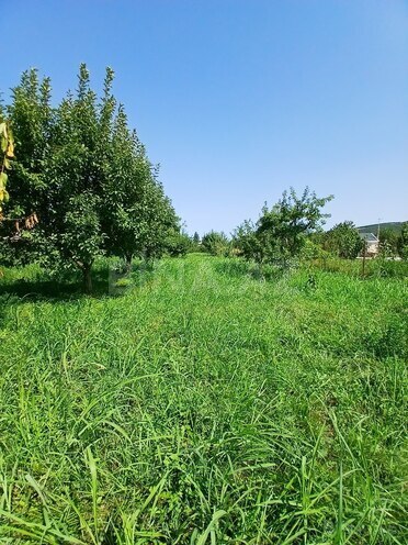 Satılır  torpaq 55 sot, photo 5 from 23