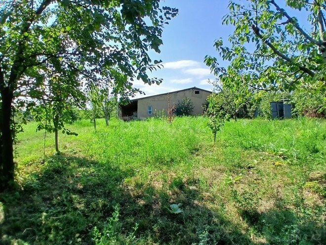 Satılır  torpaq 55 sot, photo 1 from 23