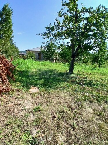 Satılır  torpaq 55 sot, photo 8 from 23