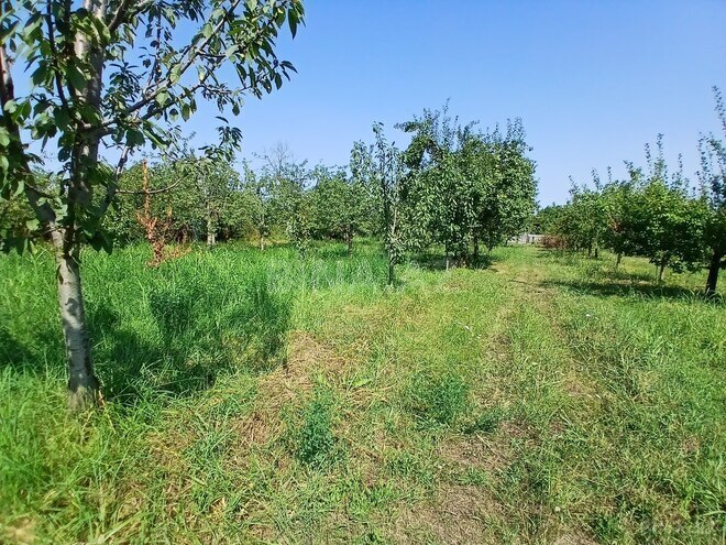 Satılır  torpaq 55 sot, photo 6 from 23