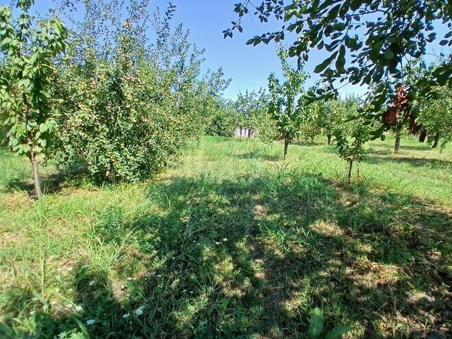 Satılır  torpaq 55 sot, photo 3 from 23