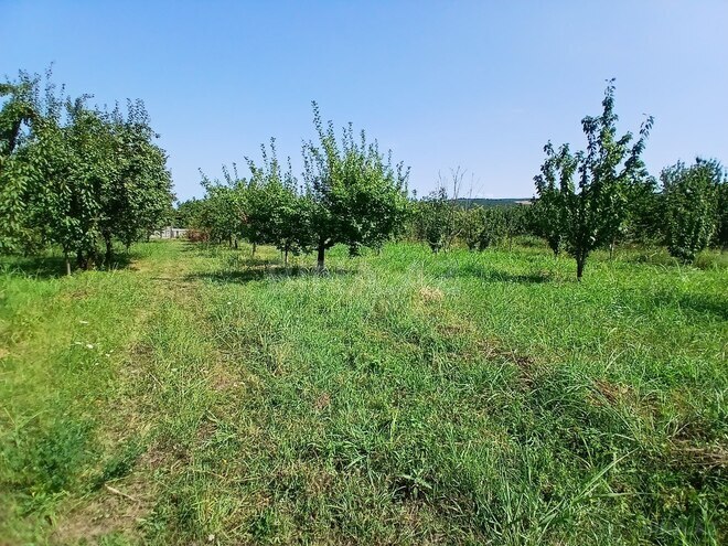 Satılır  torpaq 55 sot, photo 4 from 23