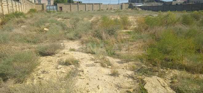 Satılır  torpaq 30 sot, Badamdar q., photo 1 from 6