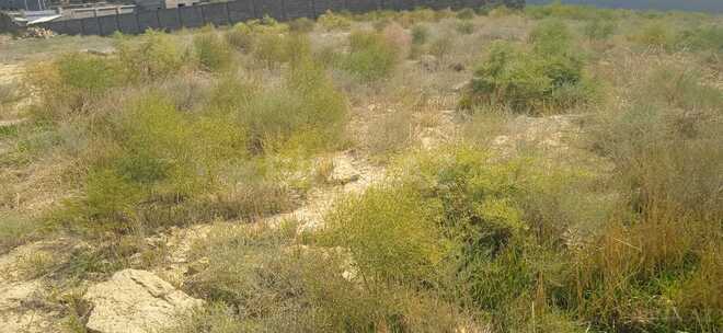 Satılır  torpaq 30 sot, Badamdar q., photo 4 from 6