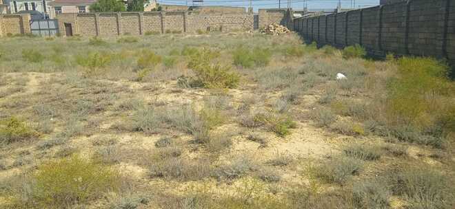 Satılır  torpaq 30 sot, Badamdar q., photo 5 from 6