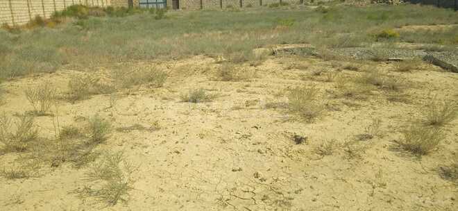 Satılır  torpaq 30 sot, Badamdar q., photo 3 from 6