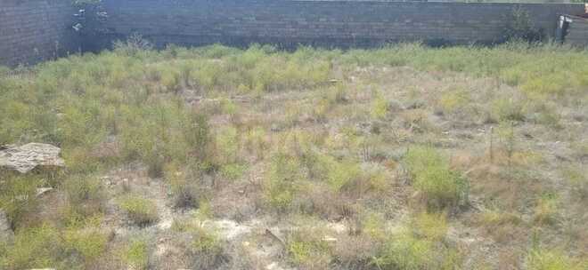 Продается  участок 9 сот, пос. Бадамдар, photo 3 from 4