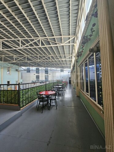 Сдаётся  объект 160 м², пос. Аг шехер, photo 12 from 17
