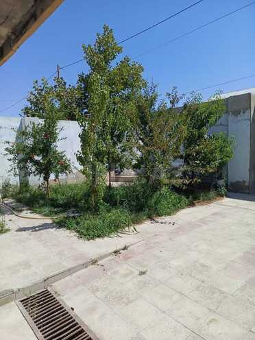 Продаётся 3-комн. дом/дача 90 м², пос. Говсан, photo 4 from 24
