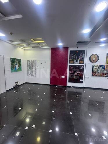 Сдаётся 1-комн. новостройка 72 м², м. Низами, photo 4 from 13