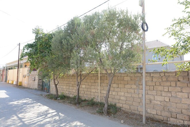 Satılır 5 otaqlı həyət evi/bağ evi 240 m², Sulutəpə q., photo 10 from 12