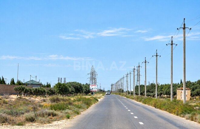 Satılır  torpaq 1 000 sot, Zirə q., photo 9 from 22