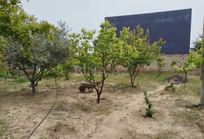 Продается  участок 6 сот, пос. Шувеляны, photo 3 from 5