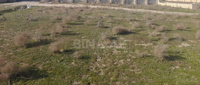 Продаётся  участок 5 сот, пос. Мамедли, photo 1 from 7
