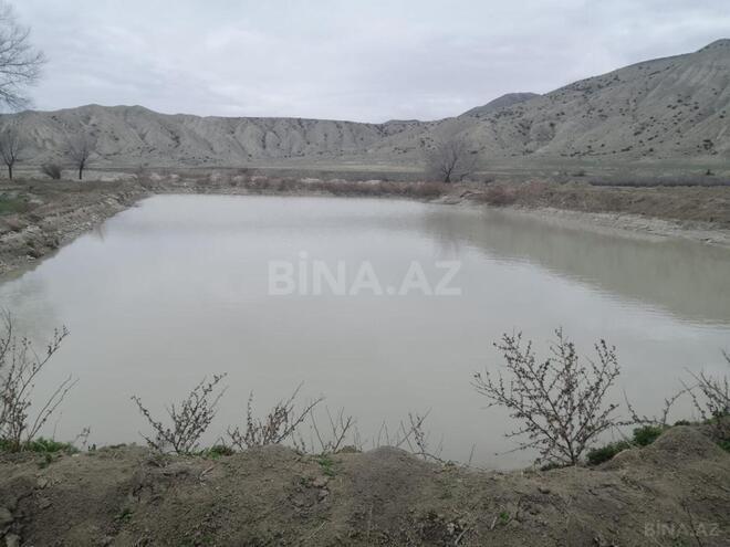 Satılır  obyekt 742.1 m², photo 18 from 23