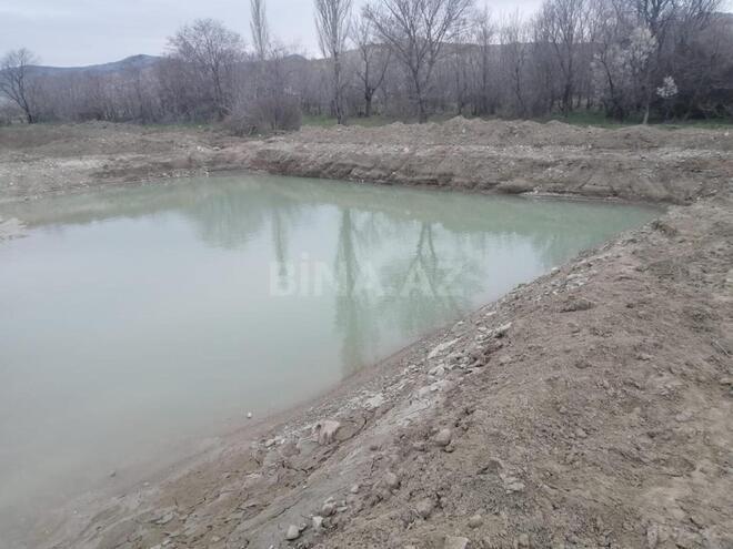 Satılır  obyekt 742.1 m², photo 20 from 23