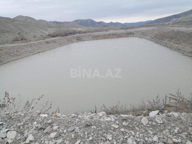 Satılır  obyekt 742.1 m², photo 22 from 23