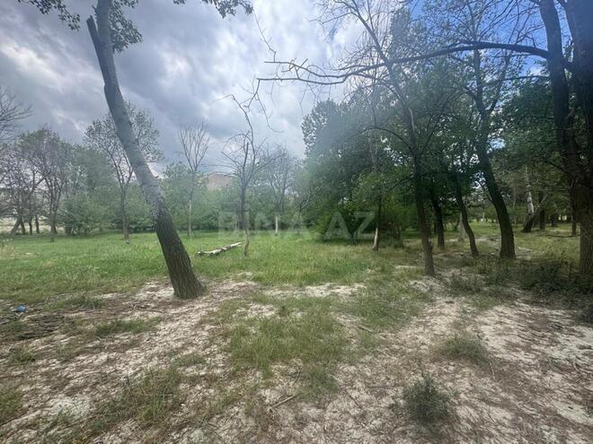 Satılır  obyekt 742.1 m², photo 16 from 23
