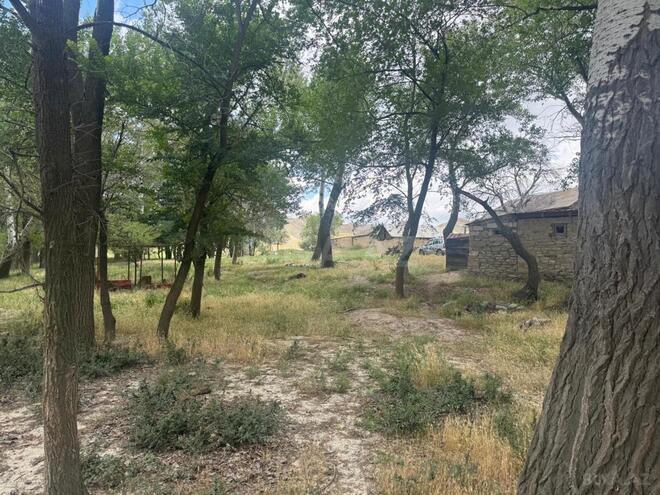 Satılır  obyekt 742.1 m², photo 15 from 23