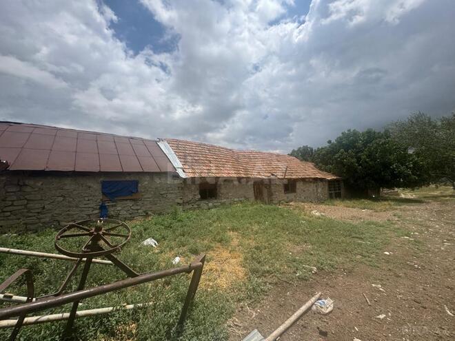 Satılır  obyekt 742.1 m², photo 12 from 23