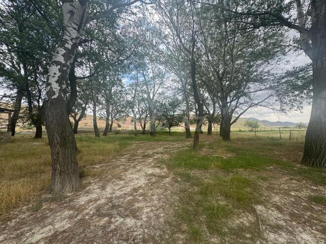 Satılır  obyekt 742.1 m², photo 17 from 23