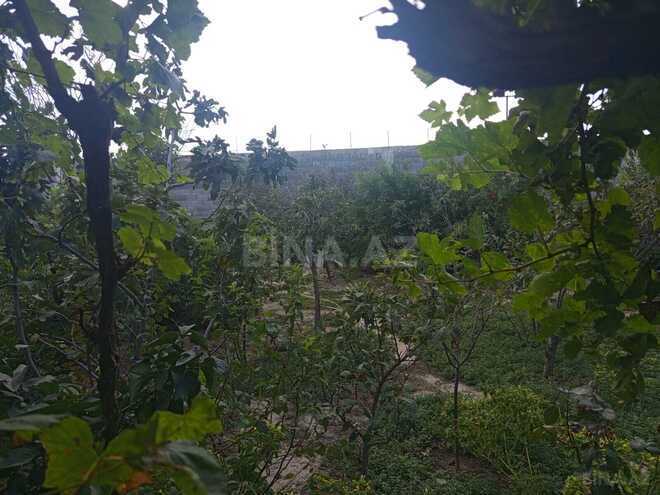 Satılır 3 otaqlı həyət evi/bağ evi 80 m², photo 11 from 12