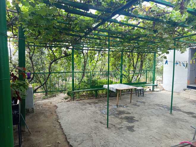 Satılır 3 otaqlı həyət evi/bağ evi 80 m², photo 9 from 12