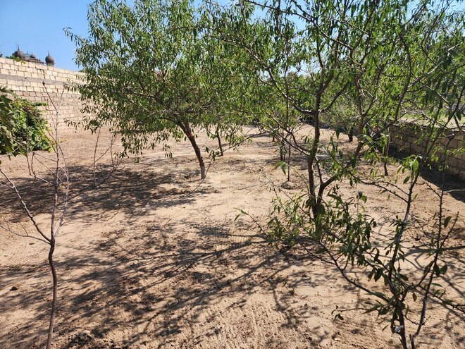 Satılır  torpaq 6 sot, Bilgəh q., photo 4 from 13