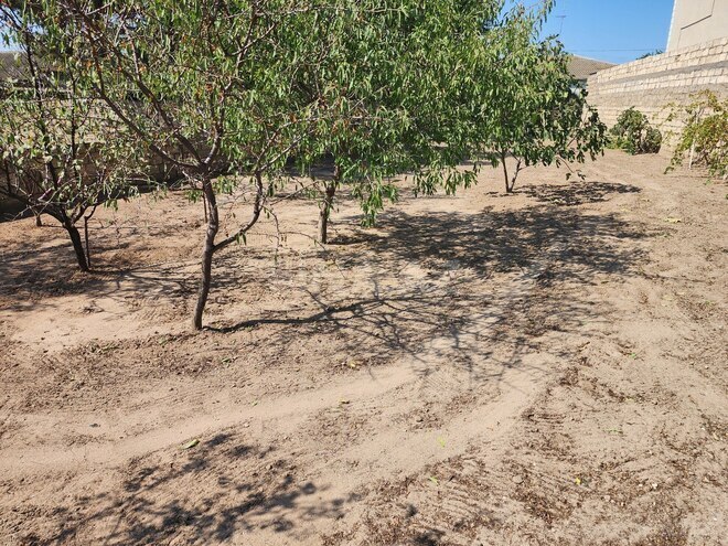 Satılır  torpaq 6 sot, Bilgəh q., photo 6 from 13