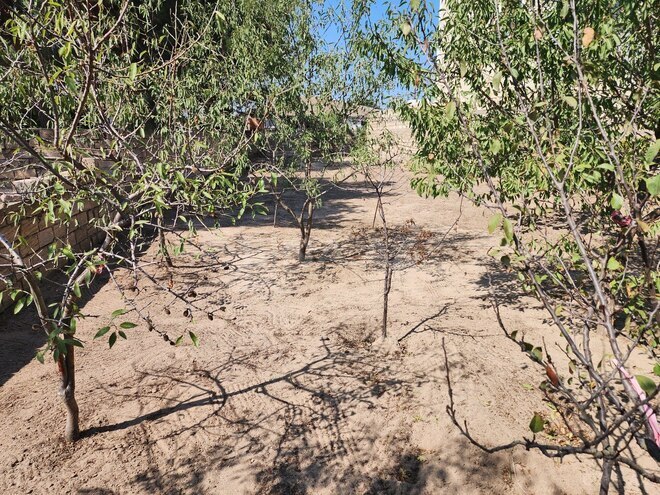 Satılır  torpaq 6 sot, Bilgəh q., photo 9 from 13