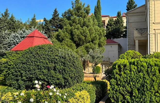 Satılır  torpaq 22 sot, Badamdar q., photo 6 from 10